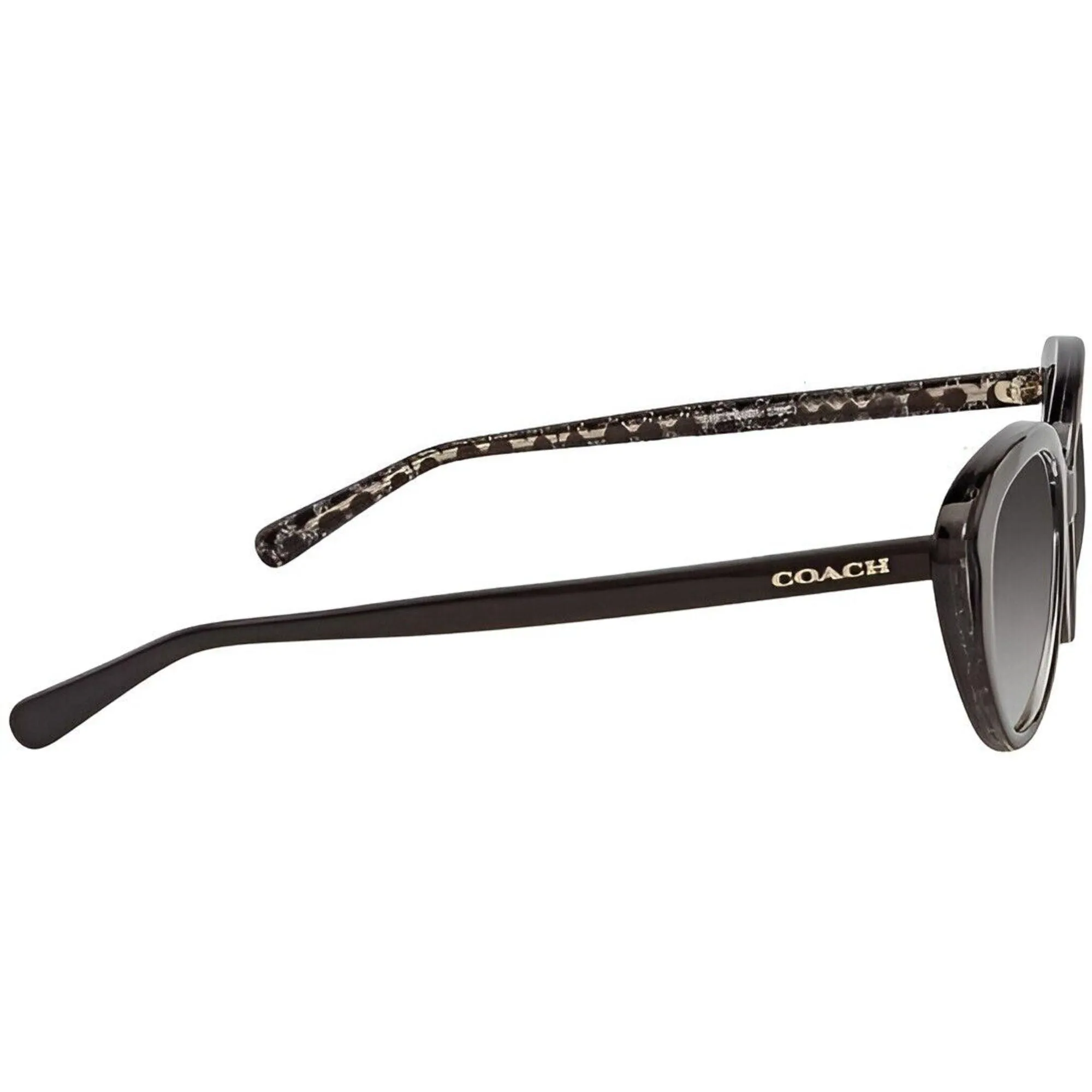 Coach Women's Sunglasses - Black Plastic Full Rim Cat Eye Frame | COACH 0HC8288 55828G