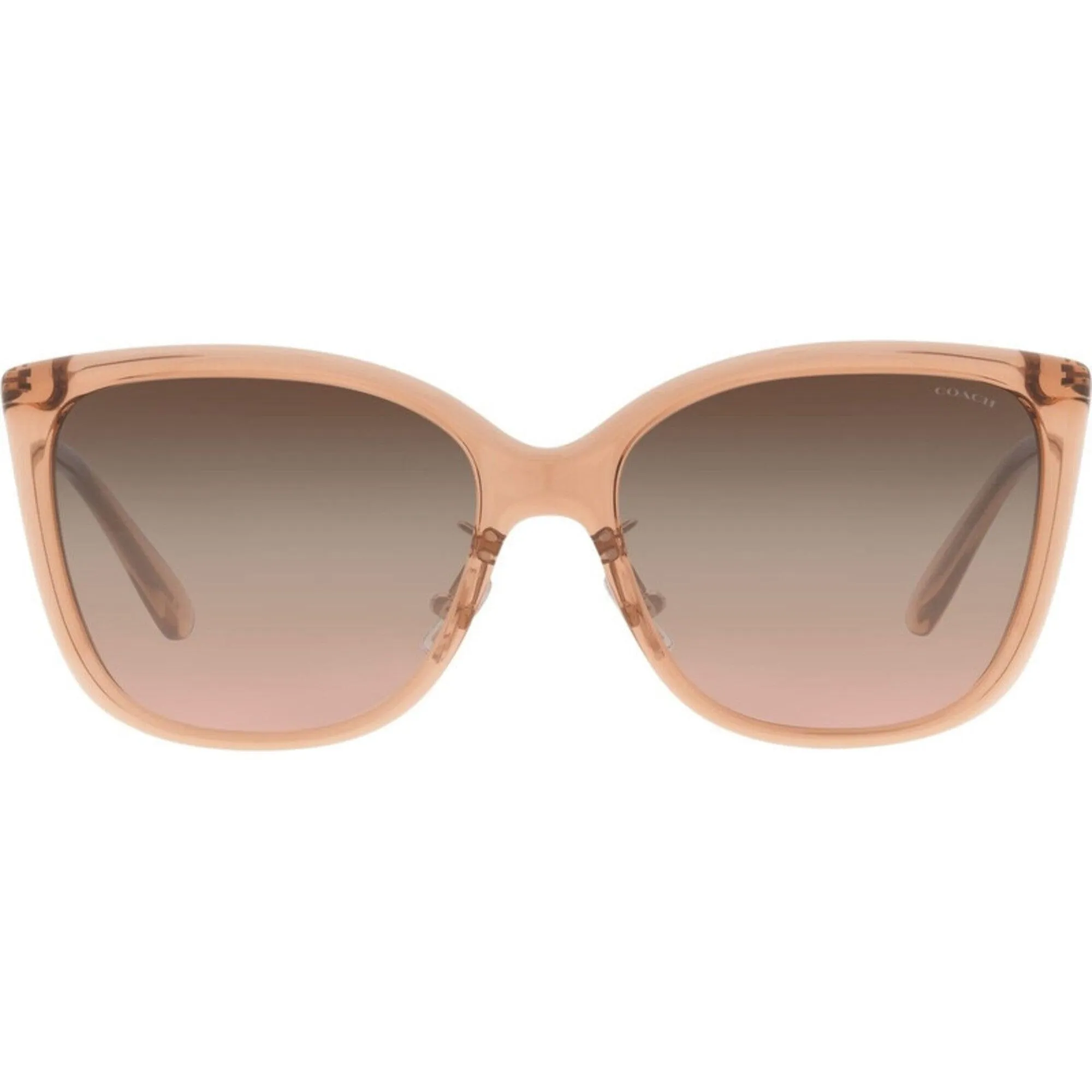 Coach Women's Sunglasses - Transparent Champagne Plastic Frame | 0HC8345 55619L57