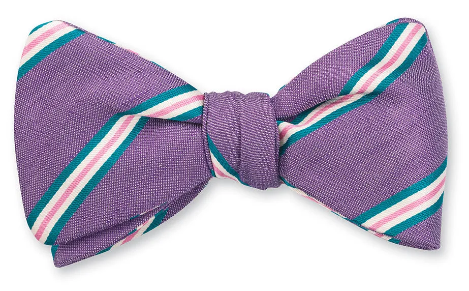 Purple Falcon Stripes Bow Tie - B5455